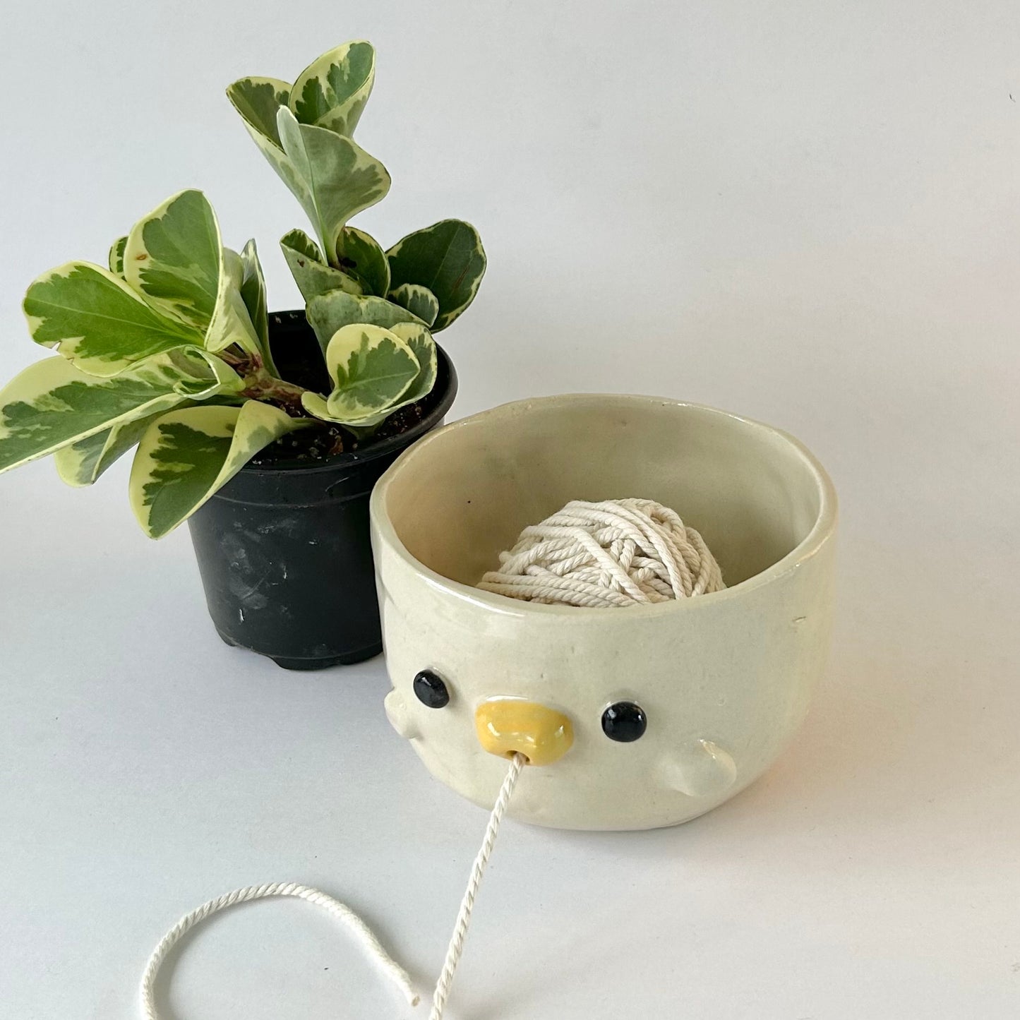 yarn bowl preorders