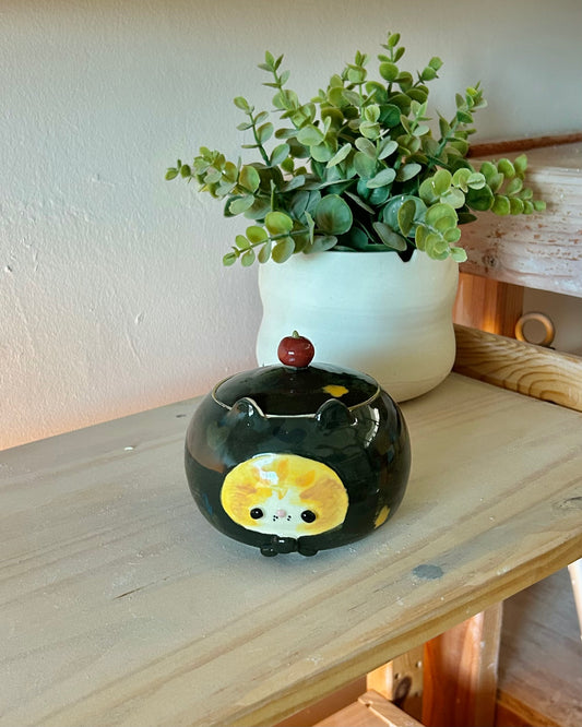 headscarf cat jar
