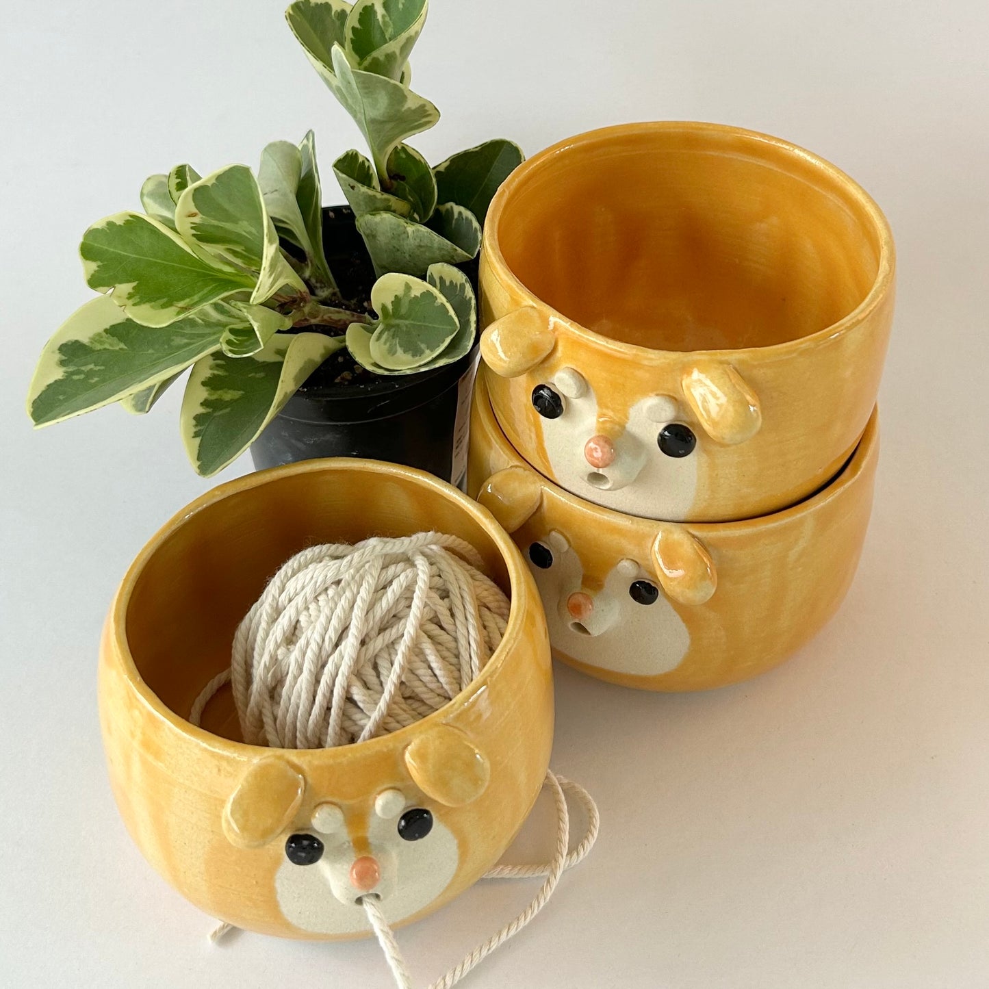 yarn bowl preorders