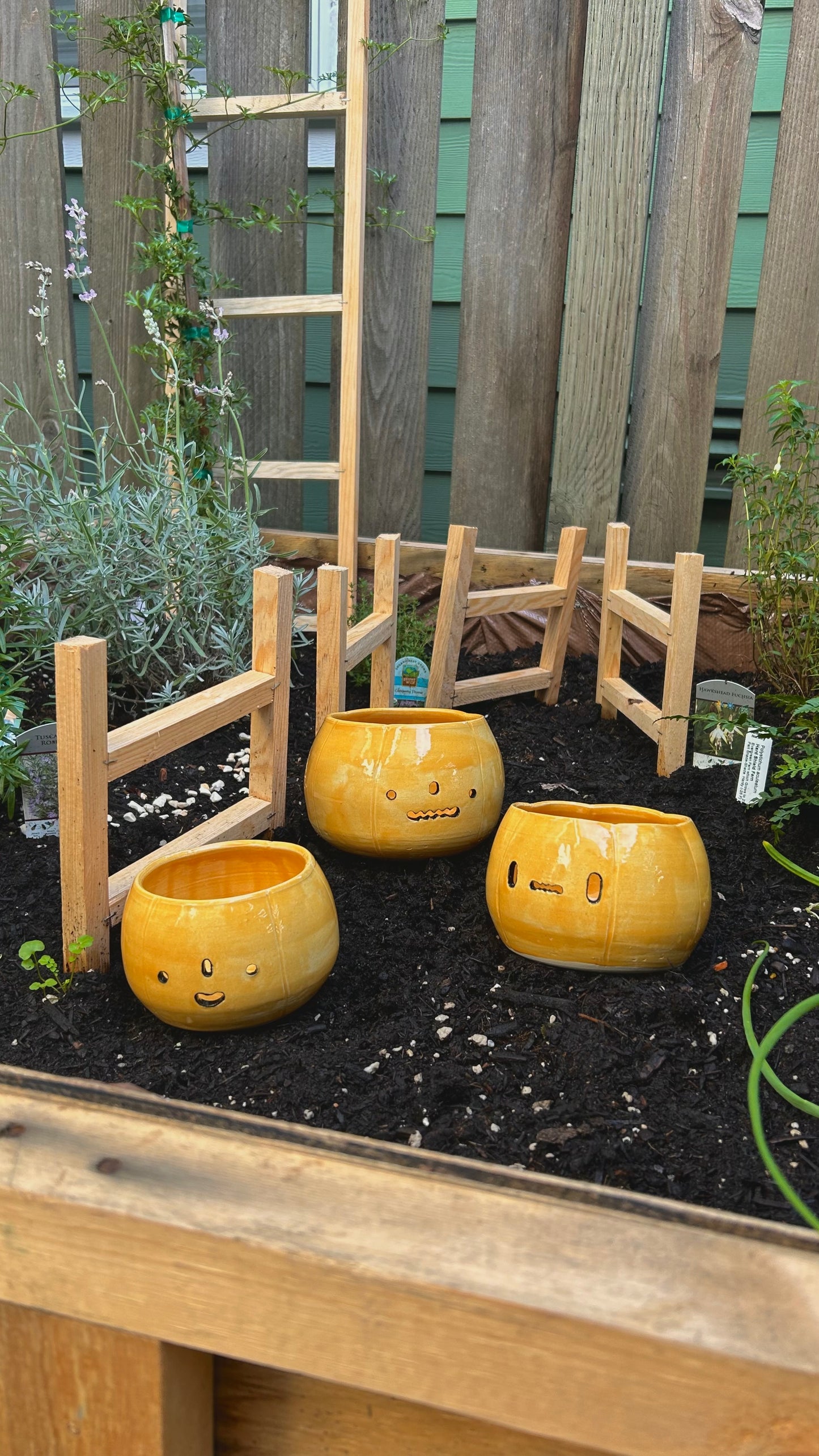yarn bowl preorders