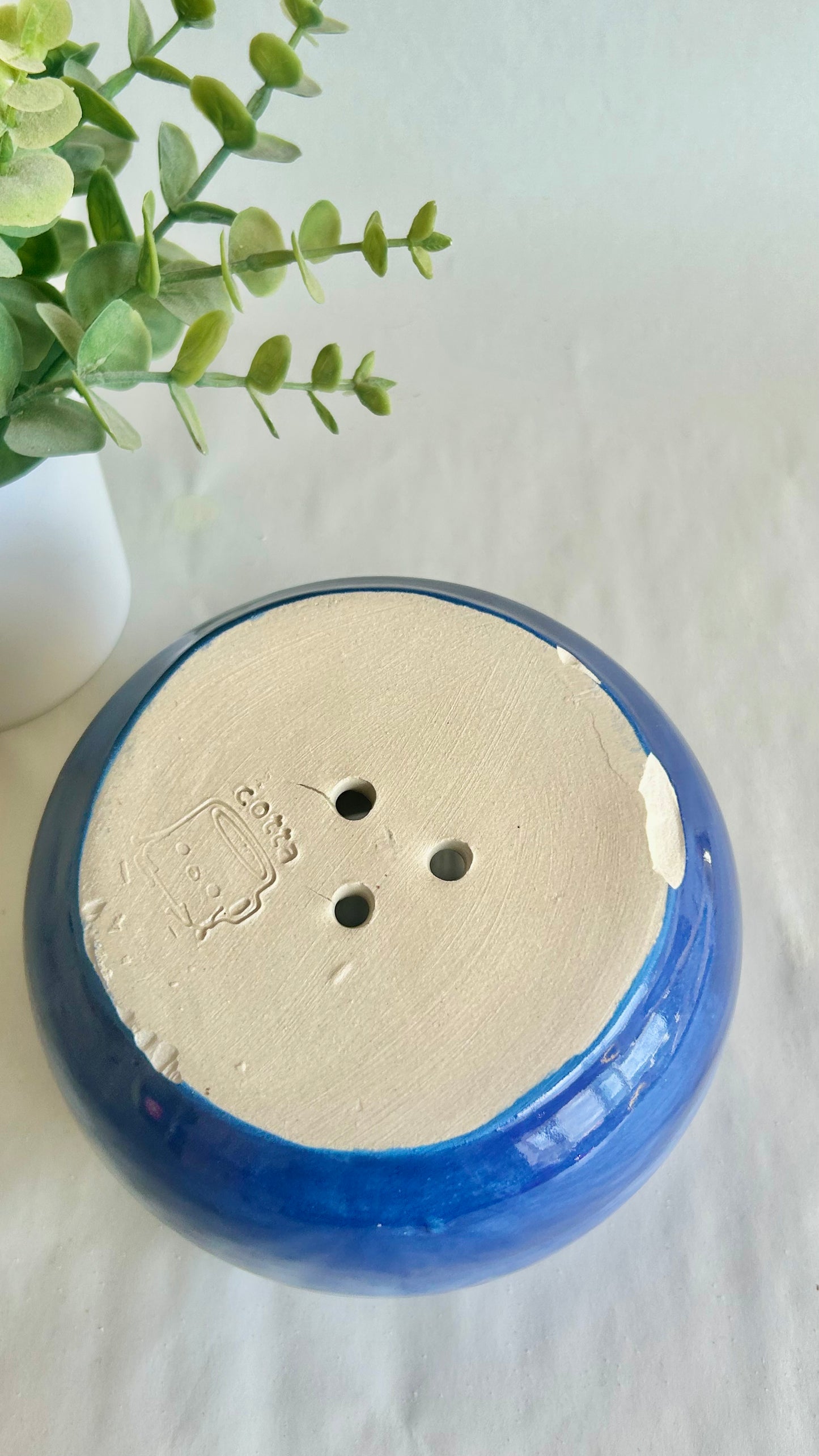 blueberry planter (imperfect)