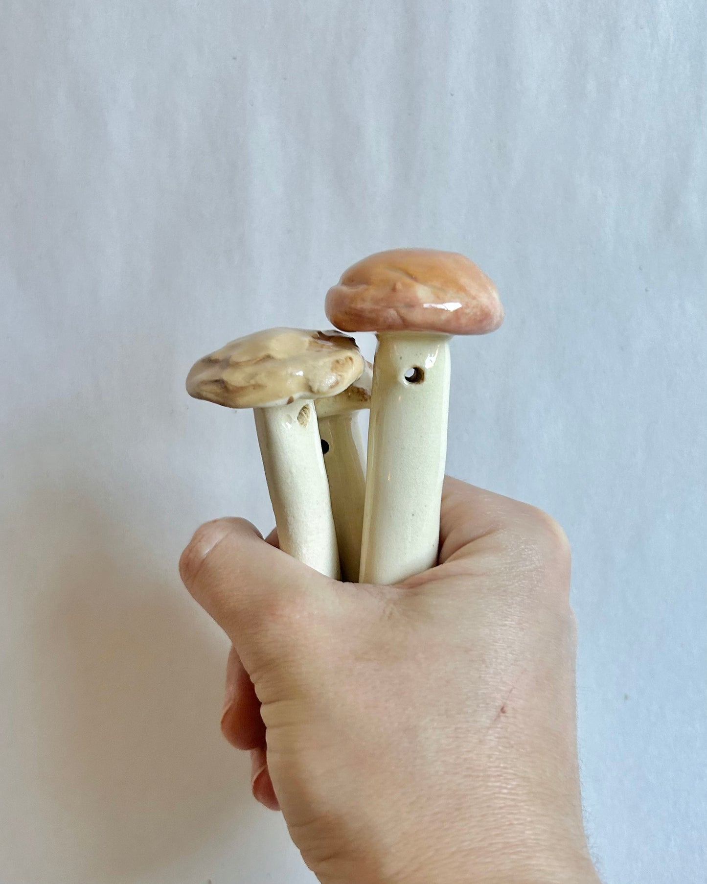 tan hues mushroom spoon set